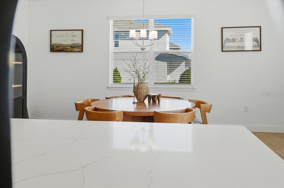 Close-up of interior finishes inside a home in Hills of Minneola, Minneola (Image 24).
