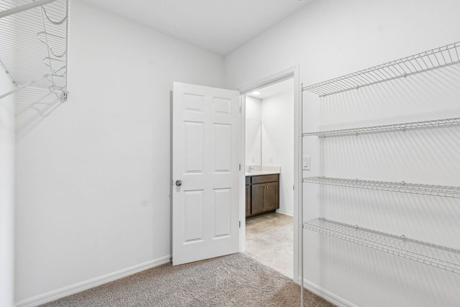 Owner's Closet