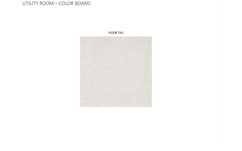 Image 10 of a home in Urban Courtyard Homes at Easton Park.