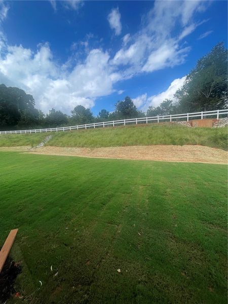Natural landscape and outdoor views near Springwood Grove in Central (Image 12). Natural landscape and outdoor views near Springwood Grove in Central (Image 12).