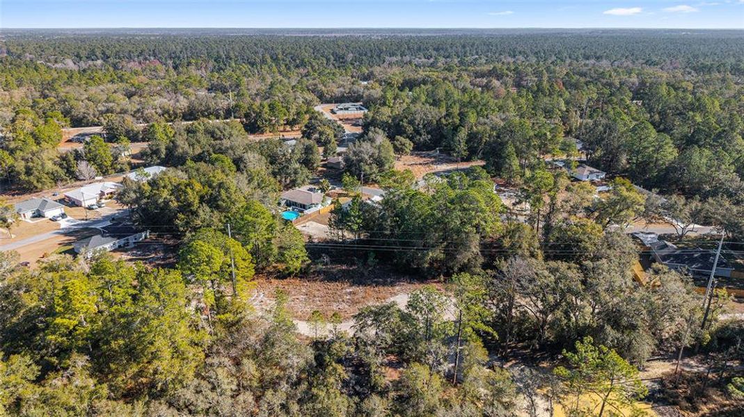 Natural landscape and outdoor views near  in Ocala (Image 38).