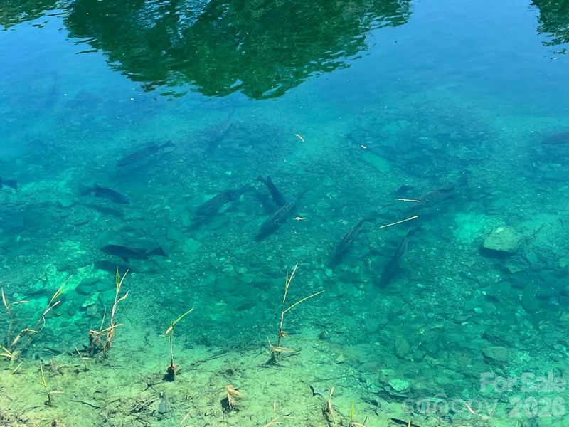 One pond stocked with Bass, Brim, Sunfish