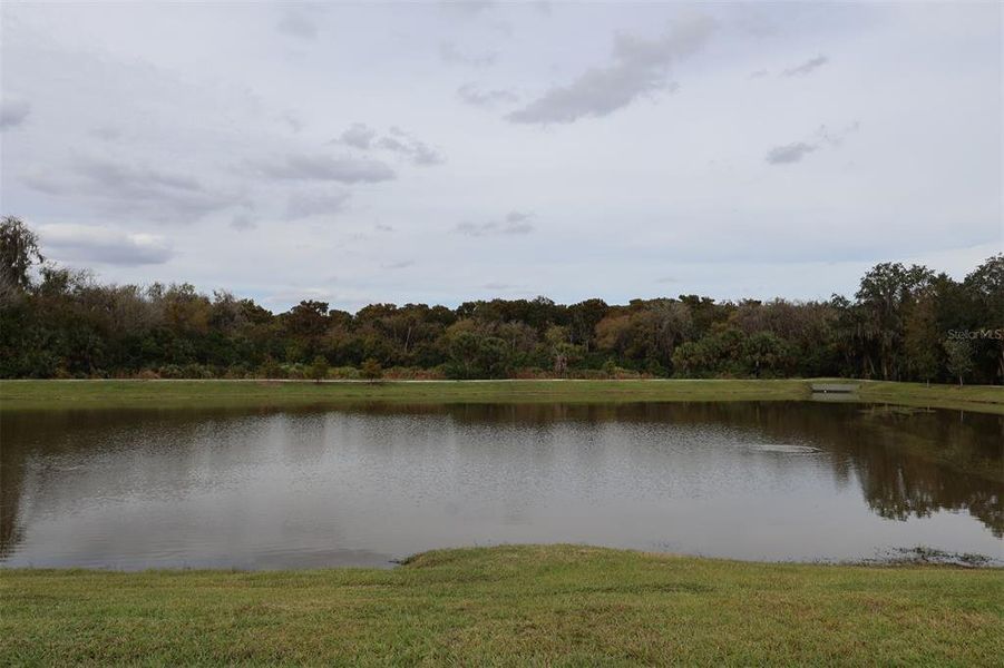 Natural landscape and outdoor views near Estates at Rivercrest in Sanford (Image 17). Natural landscape and outdoor views near Estates at Rivercrest in Sanford (Image 17).