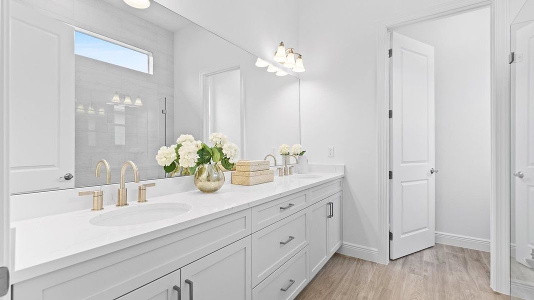 Owner's Bath