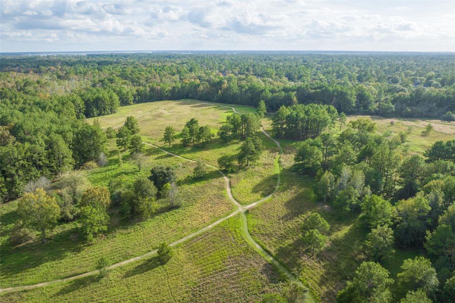 Natural landscape and outdoor views near The Trails in New Caney (Image 24).