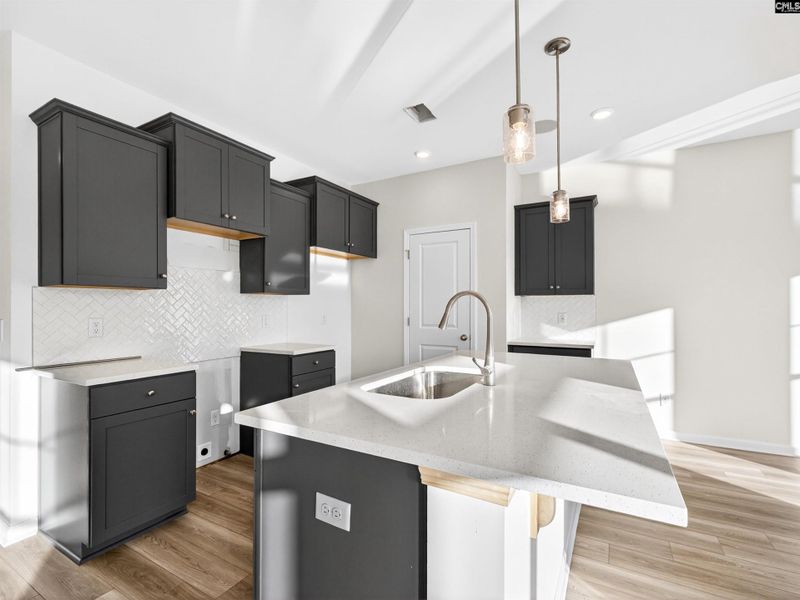 Furnished interior view inside a new home in Dunbar Village, Cayce (Image 6).