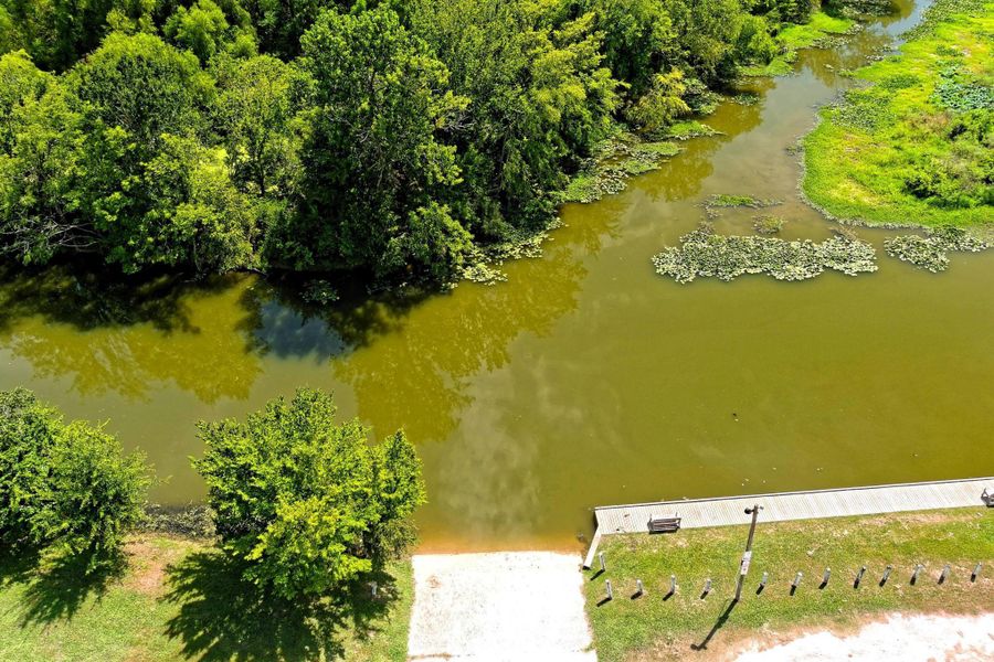 Natural landscape and outdoor views near  in Willis (Image 25).