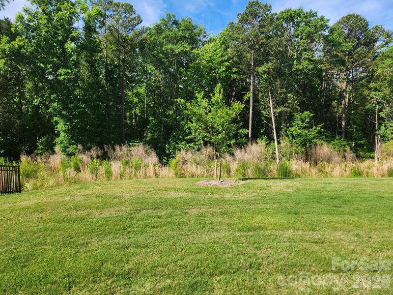 Natural landscape and outdoor views near  in Indian Land (Image 28).