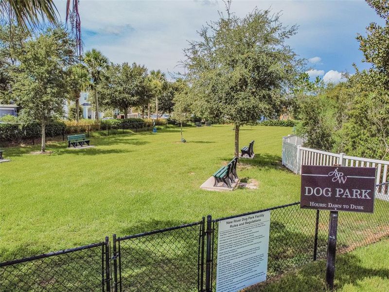 Community amenities in Westgate at Avalon Park, Wesley Chapel (Image 78).
