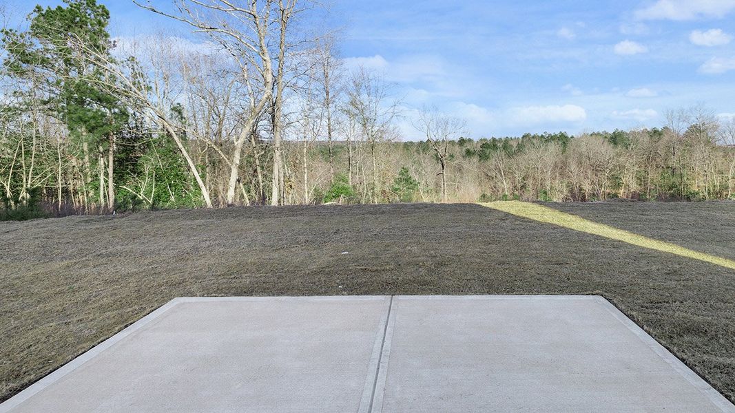 Natural landscape and outdoor views near Captain's Corner in Grovetown (Image 24).