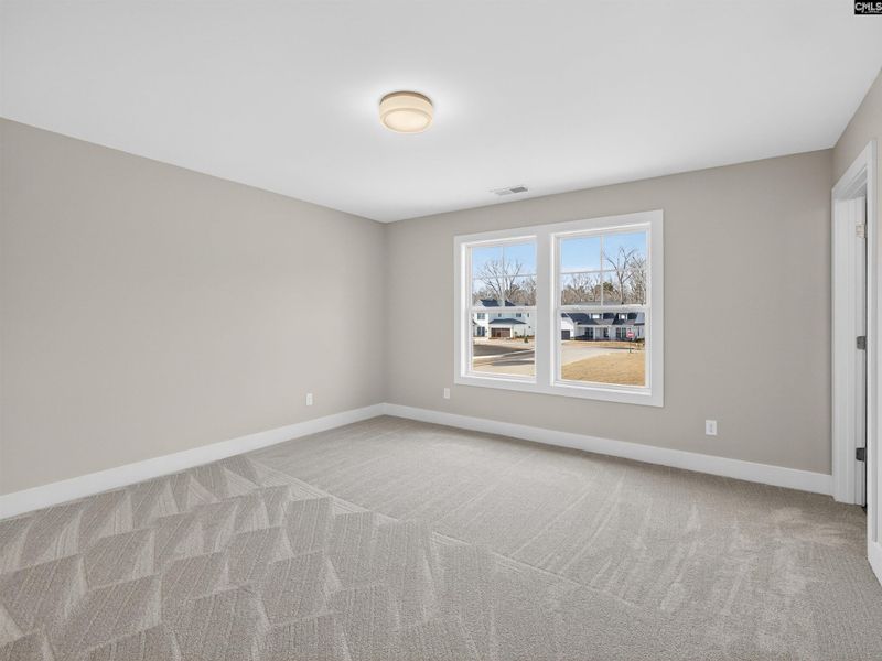 Spacious, unfurnished interior of a new home in Collins Cove, Chapin (Image 47).