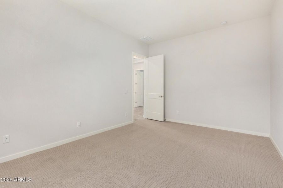 30 - Royal Palm 30 - Royal Palm