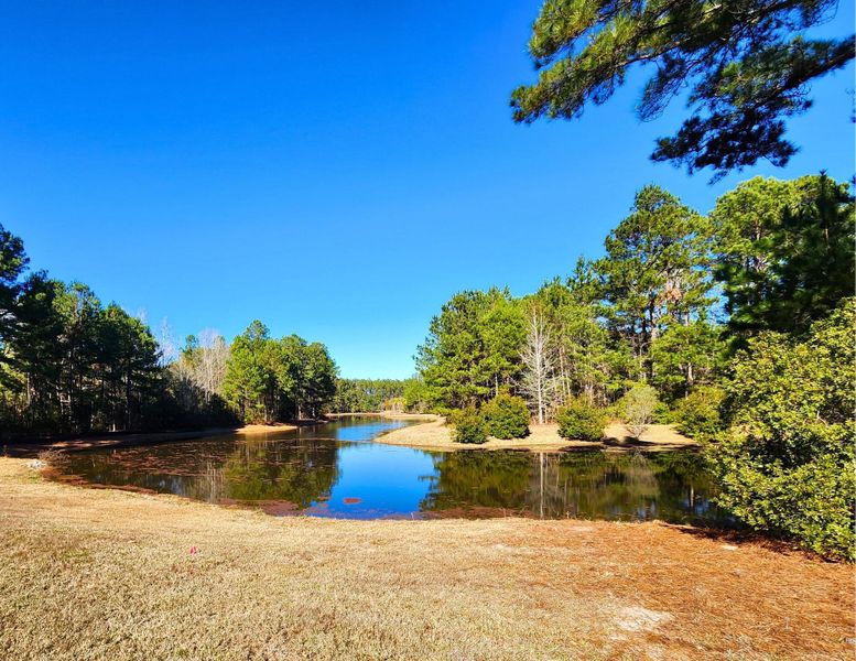 Natural landscape and outdoor views near Rivers Reach in Yemassee (Image 50). Natural landscape and outdoor views near Rivers Reach in Yemassee (Image 50).