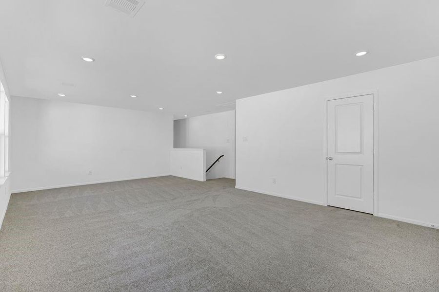 615 Yaupon Holly ~ Ready Now 615 Yaupon Holly ~ Ready Now