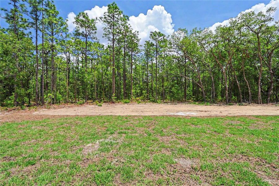 Natural landscape and outdoor views near  in Ocala (Image 32).