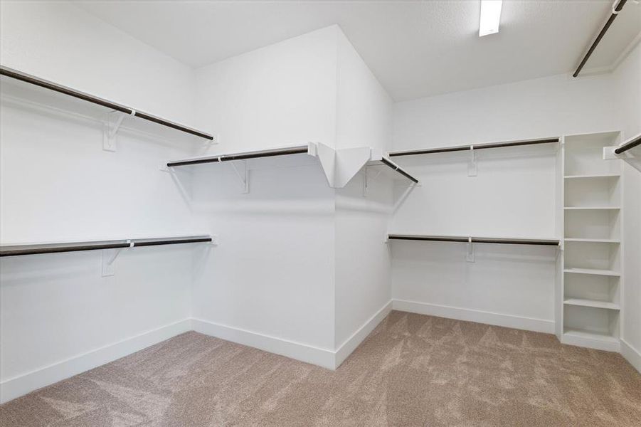 Walk in closet featuring light colored carpet