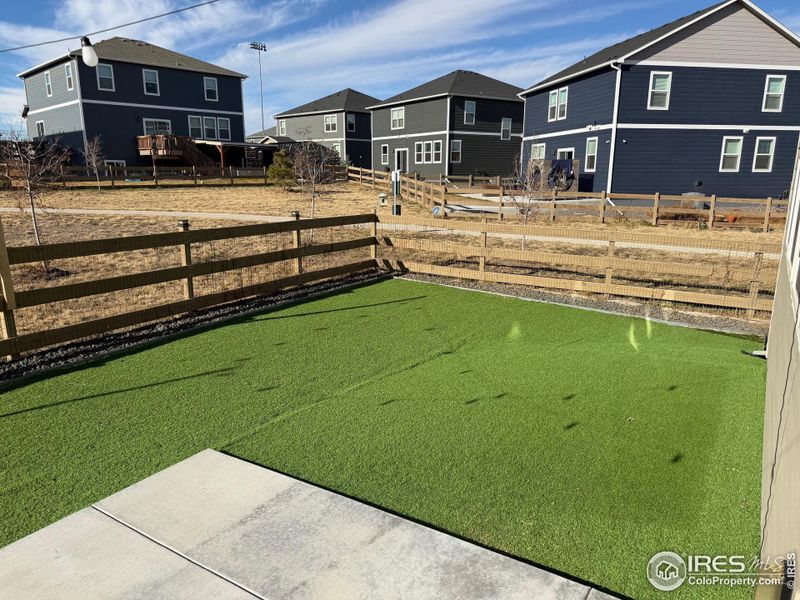 Turf for permanent green space and low maintenance Turf for permanent green space and low maintenance