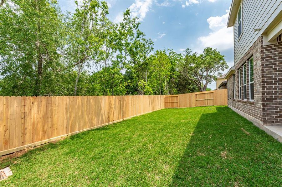 Fully sodded and fenced back yard