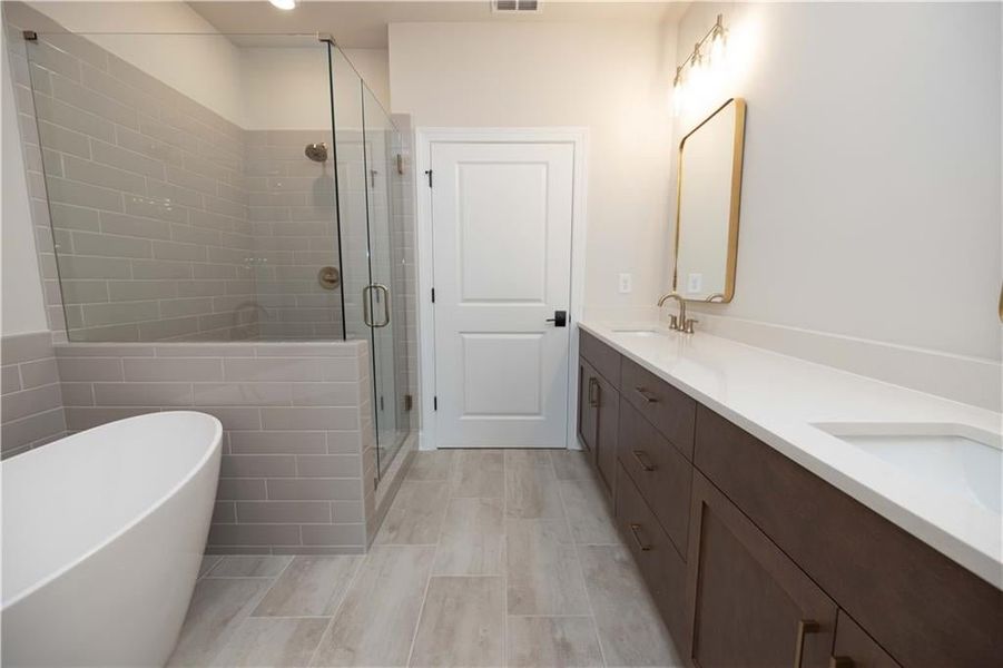 Bathroom with vanity and separate shower and tub