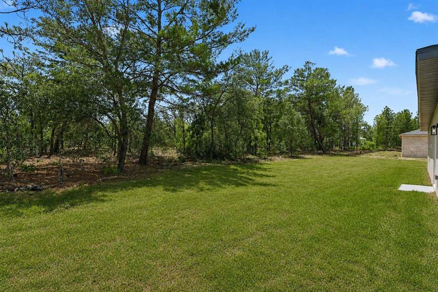 Natural landscape and outdoor views near  in Citrus Springs (Image 39).