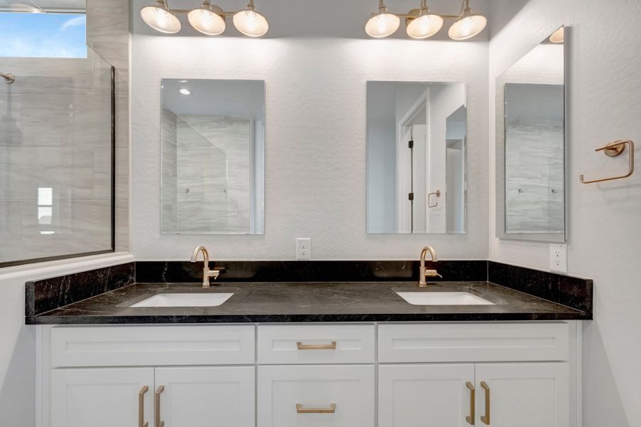 Owner's Bath