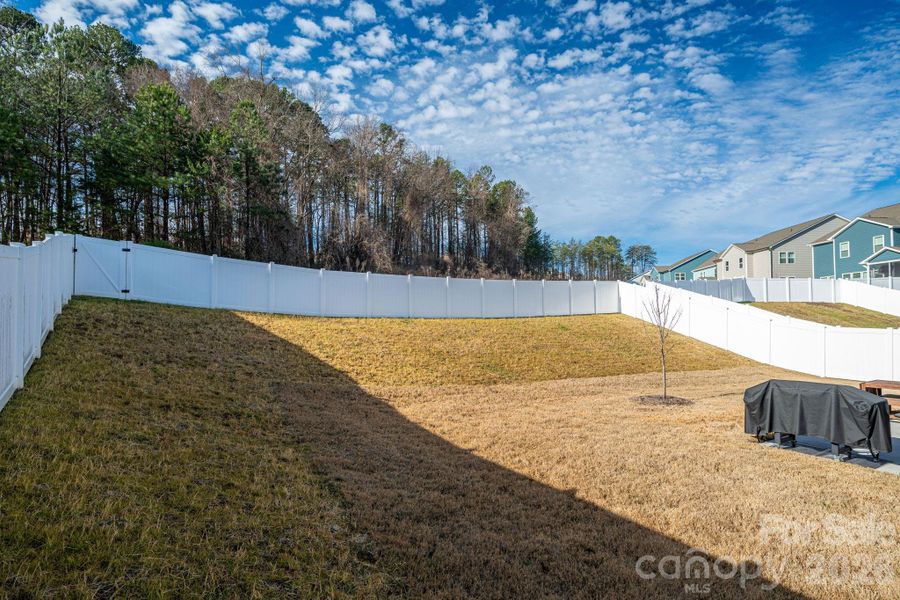 Fenced in Yard Fenced in Yard