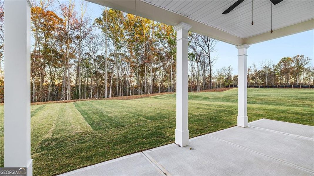 Exterior details and patio area of a home in Heritage Pointe, Senoia (Image 4). Exterior details and patio area of a home in Heritage Pointe, Senoia (Image 4).