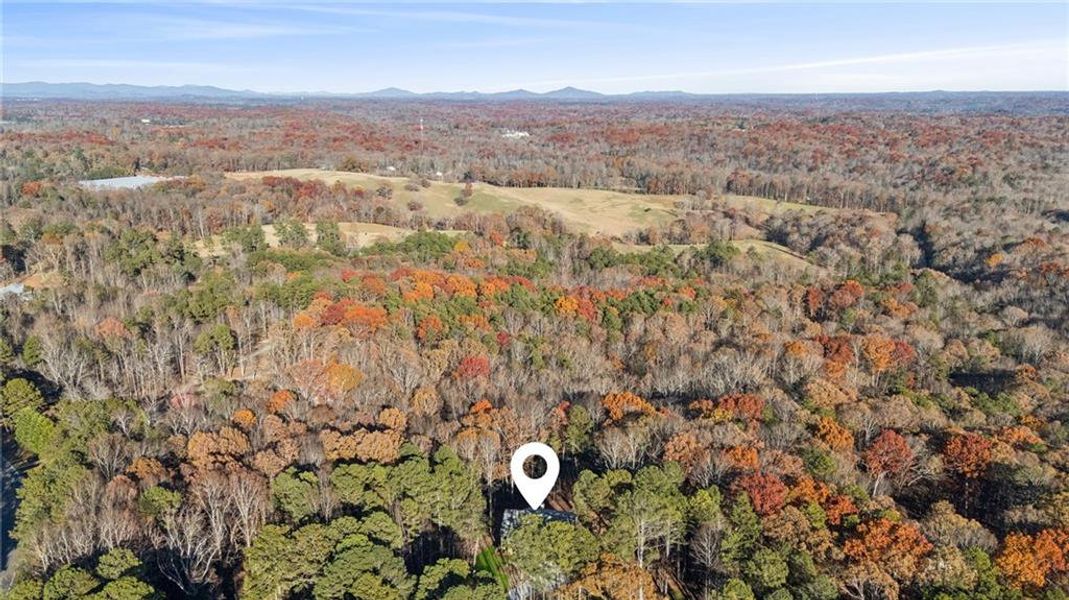 Natural landscape and outdoor views near  in Dawsonville (Image 34).
