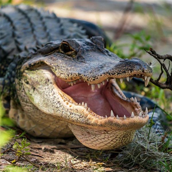 Image 72 of a home in . Image 72 of a home in .