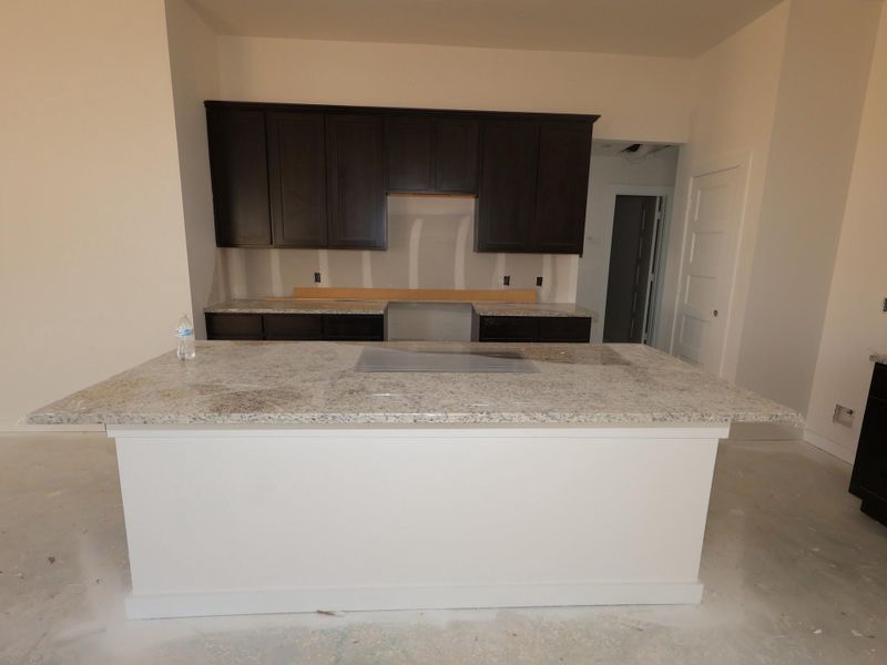 In-progress construction of a new home in Indian Springs, Crosby, TX (Image 16).