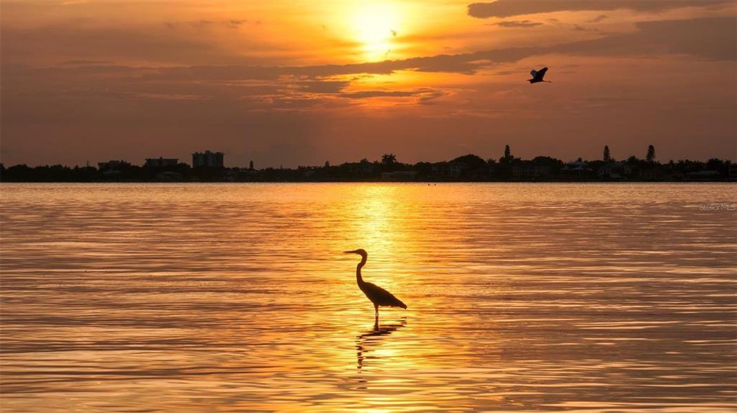 Natural landscape and outdoor views near in Sarasota (Image 40). Natural landscape and outdoor views near in Sarasota (Image 40).