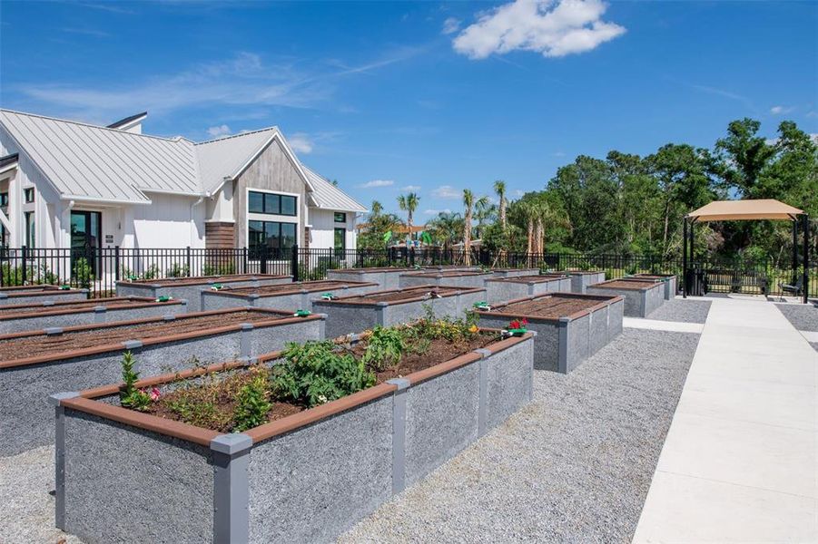 Vida’s Bloom Community Garden