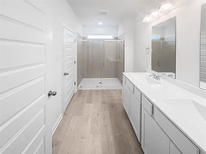 The Piedmont- Primary Bathroom