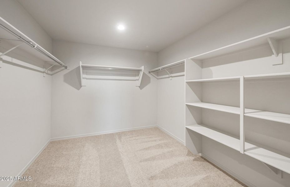 Owner's Closet Owner's Closet