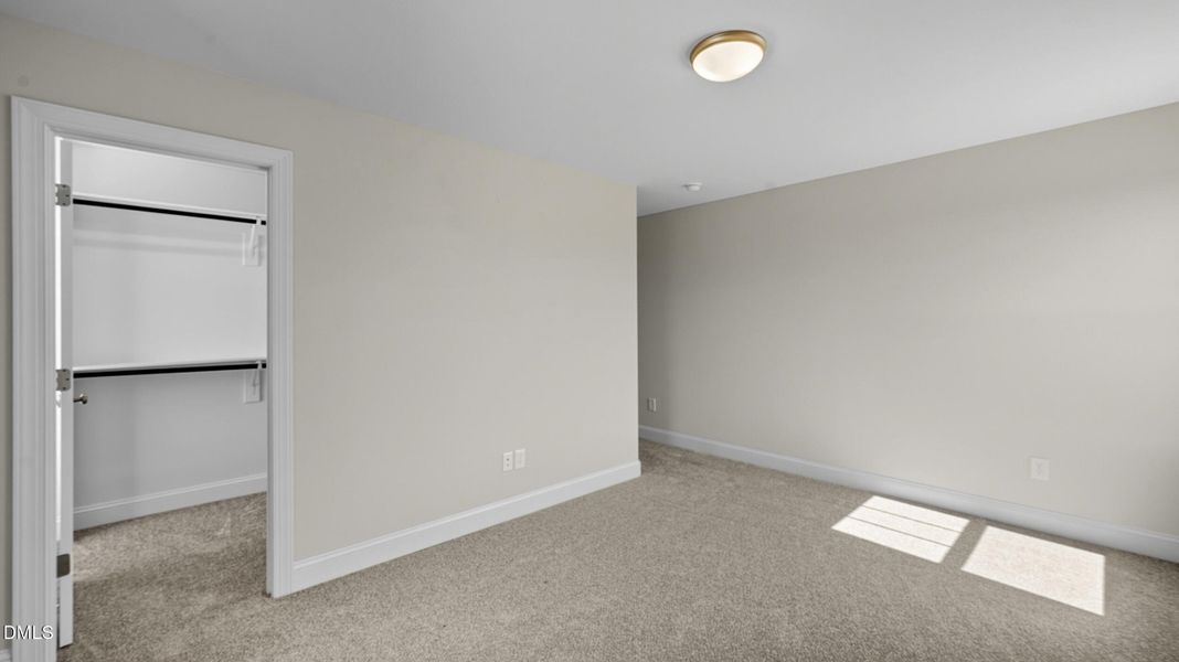 24__dsc0991 24__dsc0991