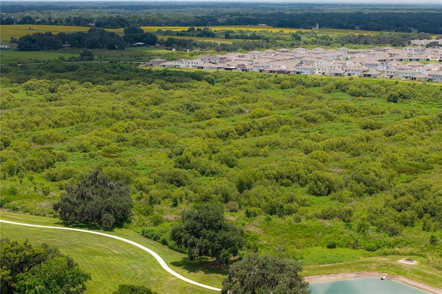 Natural landscape and outdoor views near Farm at Varrea in Plant City (Image 58).