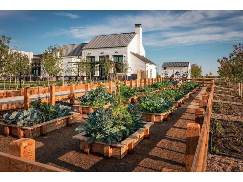 Community amenities in , Loveland (Image 5).