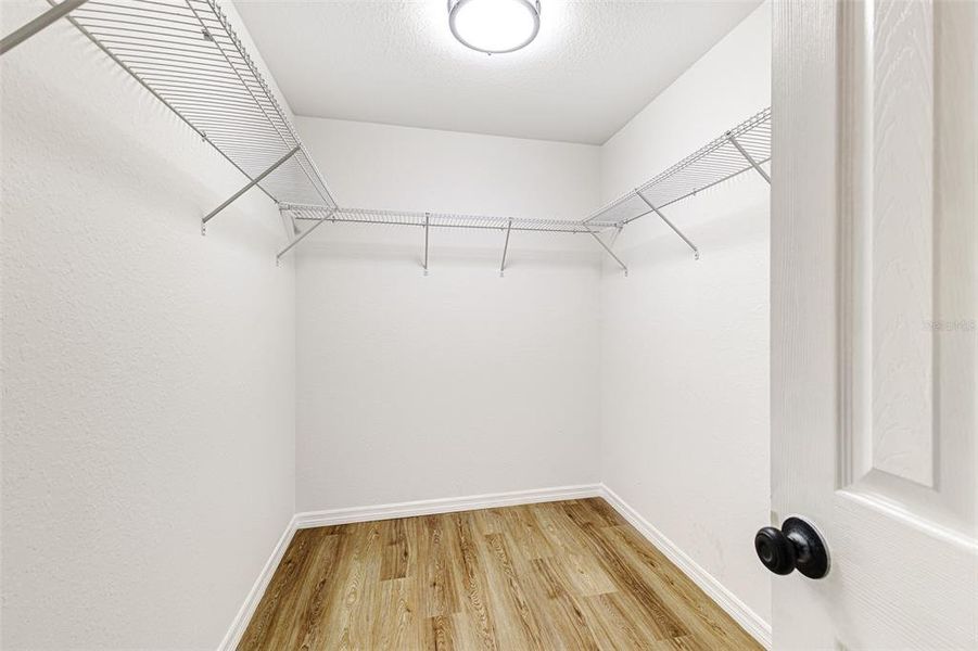 Spacious, unfurnished interior of a new home in , Lakeland (Image 13).