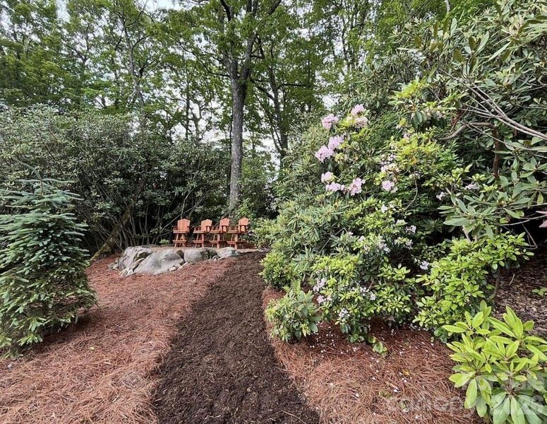 Natural landscape and outdoor views near  in Newland (Image 32).