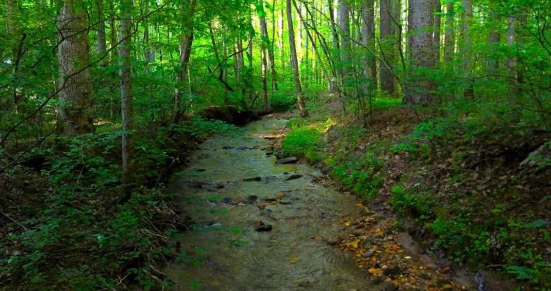 Natural landscape and outdoor views near in Ellijay (Image 11). Natural landscape and outdoor views near in Ellijay (Image 11).