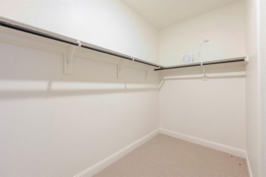 Walk in closet with carpet Walk in closet with carpet