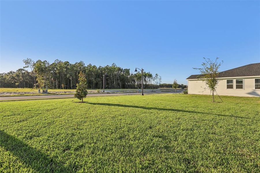 Image 39 of a home in Colbert Landings.