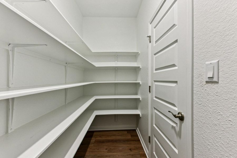HUGE Pantry w/ tons of shelving