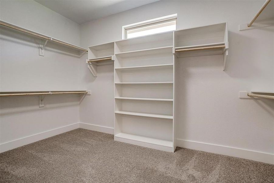 Walk in closet with carpet