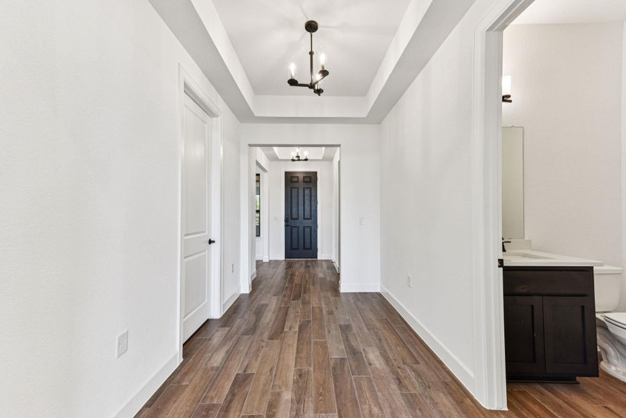 Entryway with a chandelier, dark wood-style flooring, and a raised ceiling