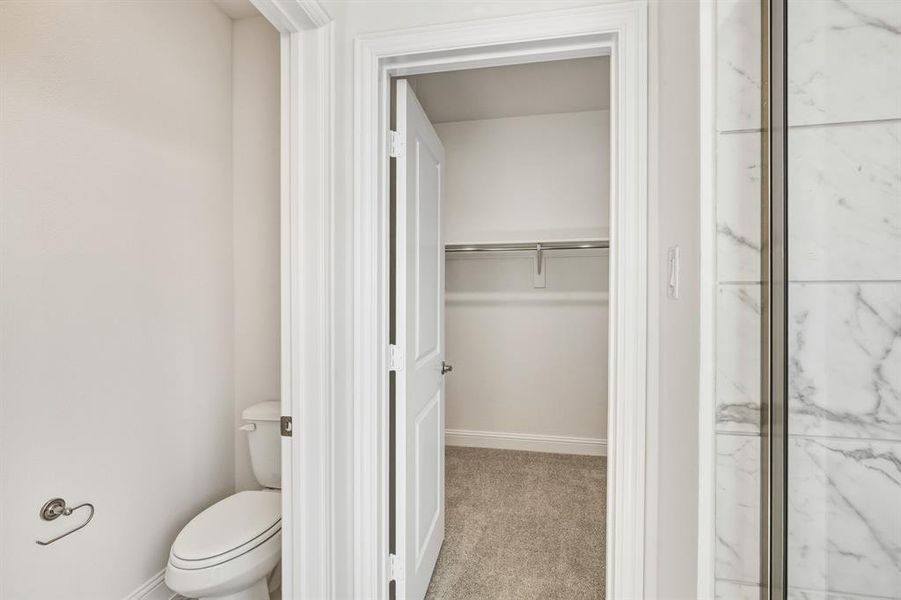 2005 BP-31 2005 BP-31