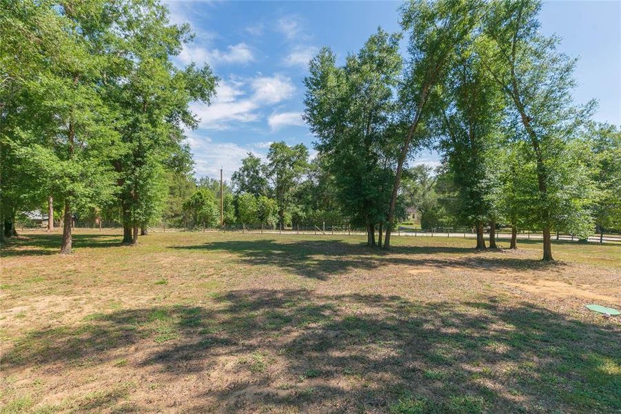 Natural landscape and outdoor views near  in Dade City (Image 51).
