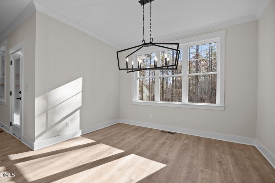 23-web-or-mls-IMG_7044