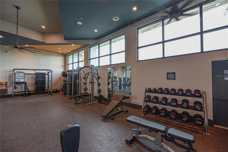 Community amenities in LakeHouse Cove at Waterside, Sarasota (Image 28).