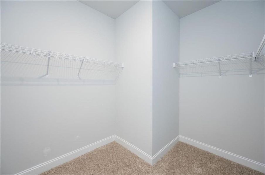 Spacious, unfurnished interior of a new home in Park Place, Bowdon (Image 13).